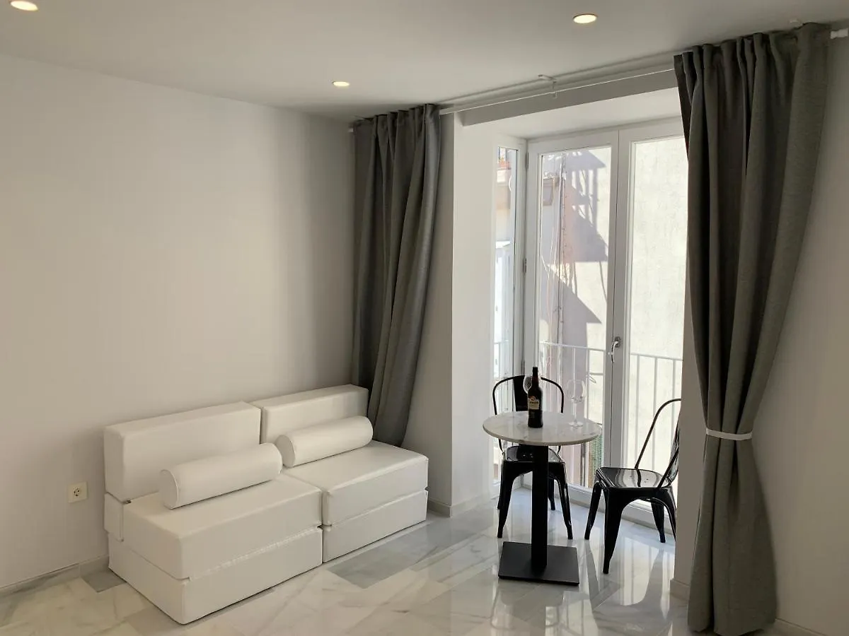 San Lorenzo Apartamentos Y Suites Cadiz 0*,  Spain